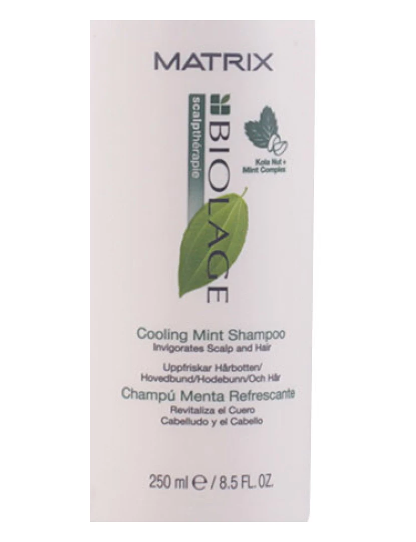 foto 1 de Champô Cooling Mist Scalptherapie 250Ml