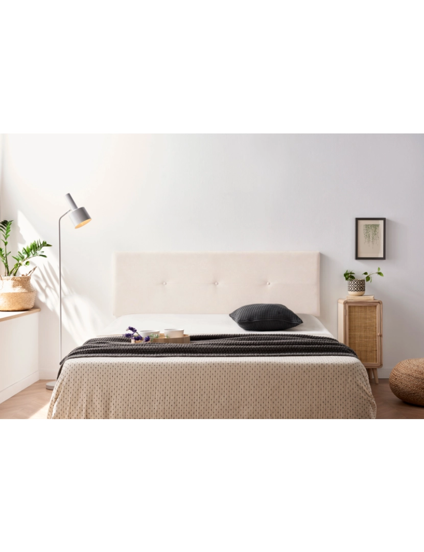 Moonia  - Cabeceira De Cama Napoli Acualine Bege