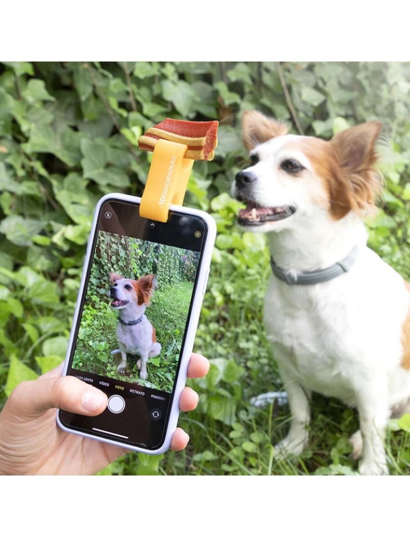 Innovagoods - Clipe de Selfies P/ Animais de Estimação Pefie