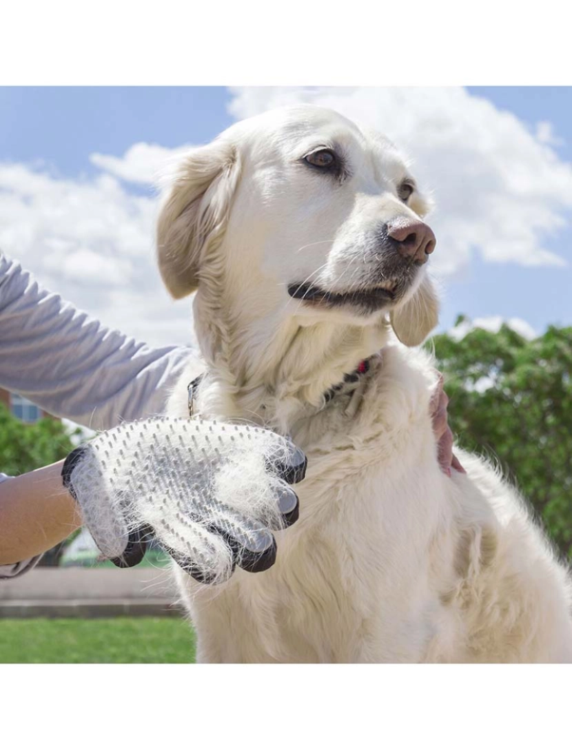 Innovagoods - Luva para Escovar e Massagear Animais de Estimação InnovaGoods