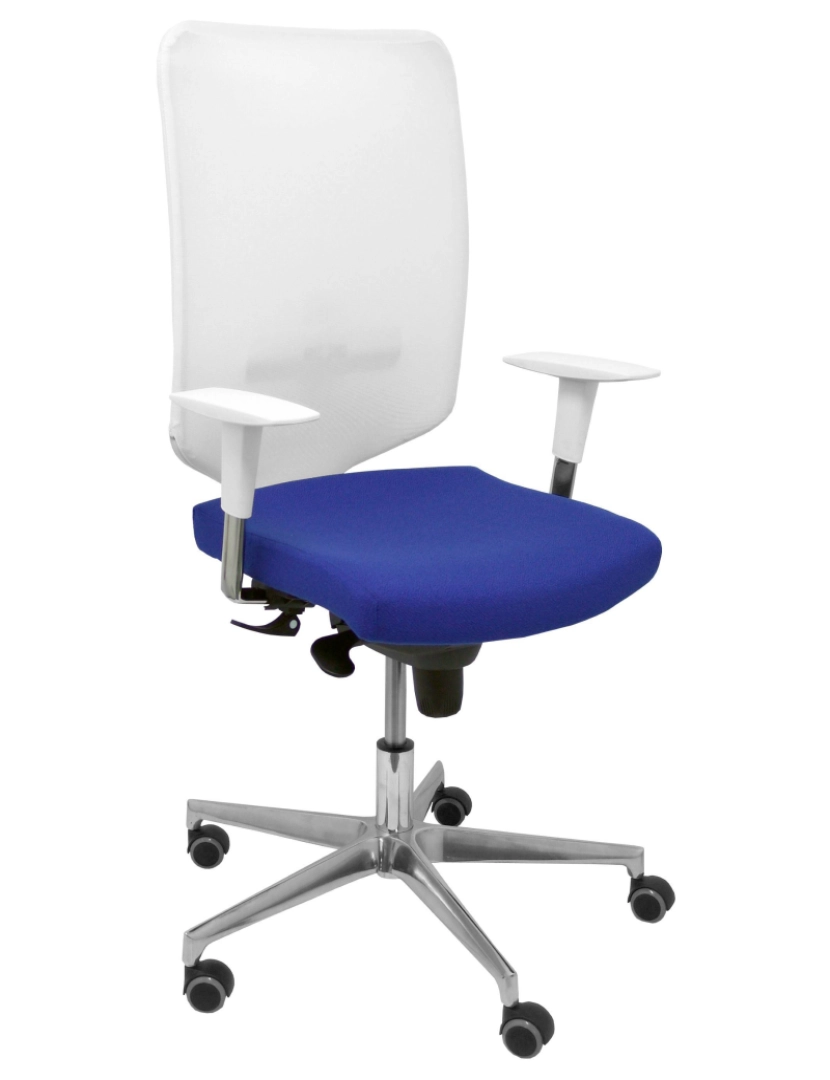 imagem de Azul azul branco Cadeira de ossa1