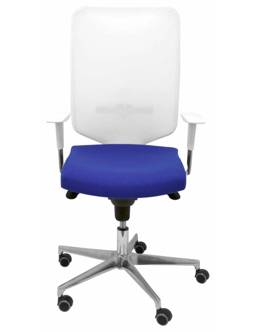 imagem de Azul azul branco Cadeira de ossa3