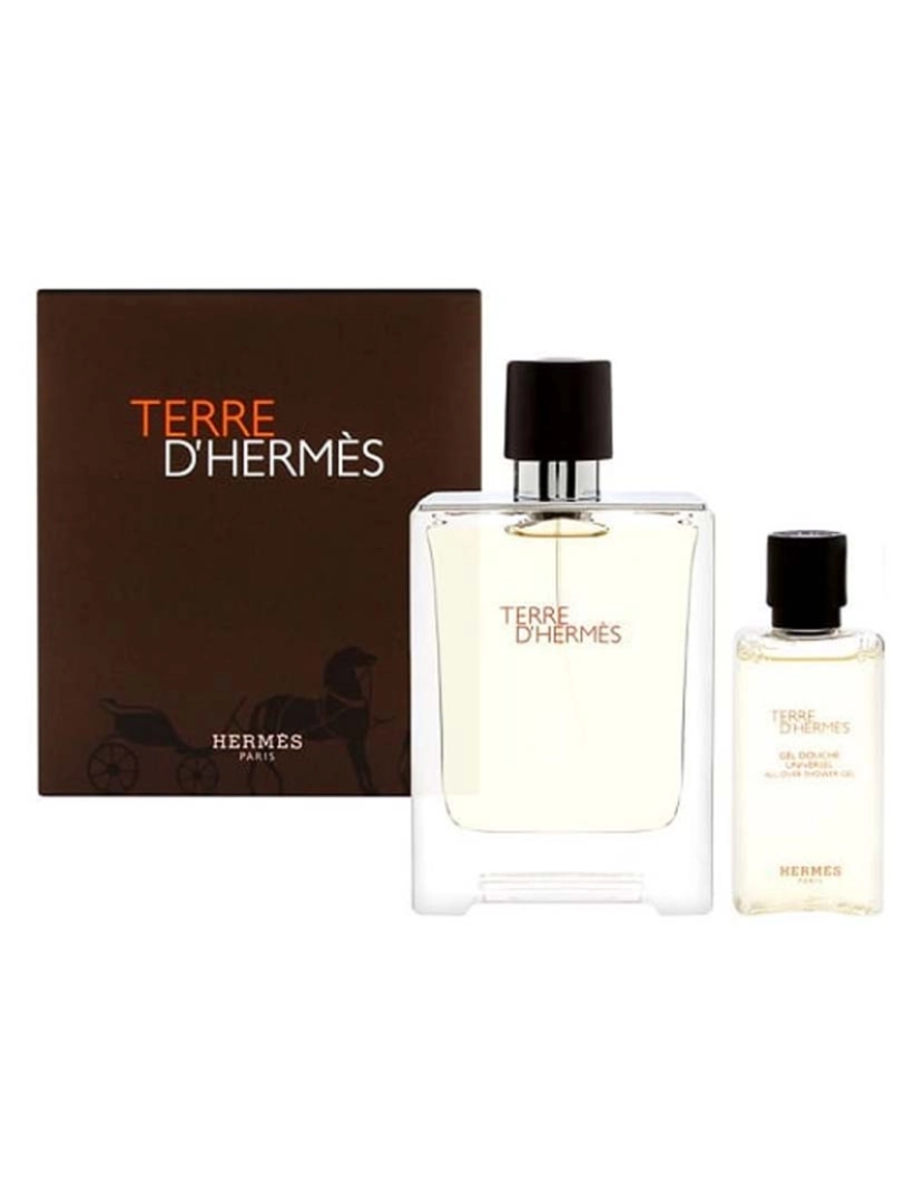 Hermès - Terre D'Hermes Set (Et 100 Vp + Shower Gel 80 Ml)