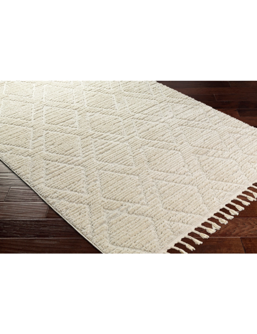 imagem de Tapete Berbere  Geométrico - JASMINE - 160 x 213 cm - Creme6