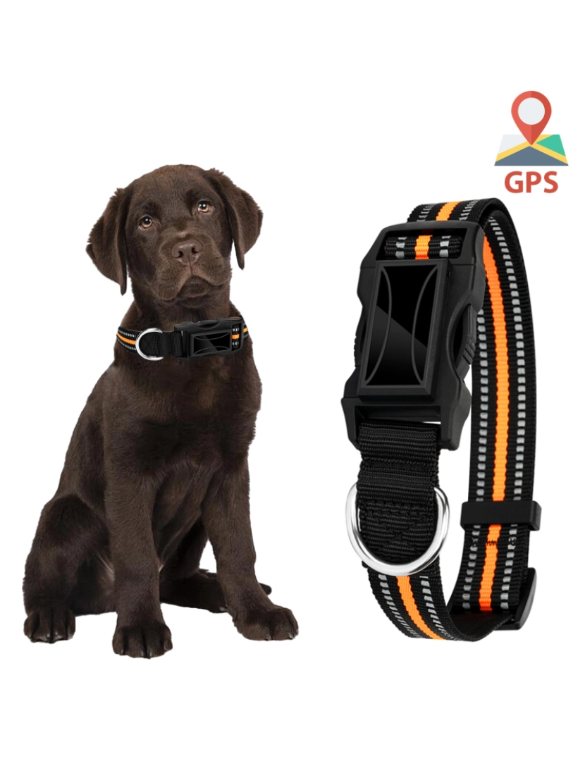 DAM - Localizador Gps Especial Para Animais Amarelo