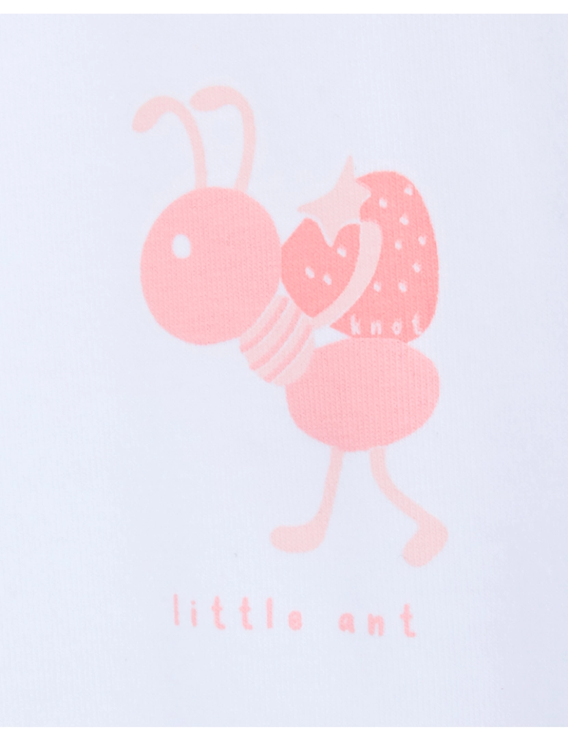 imagem de Body Little Ant2