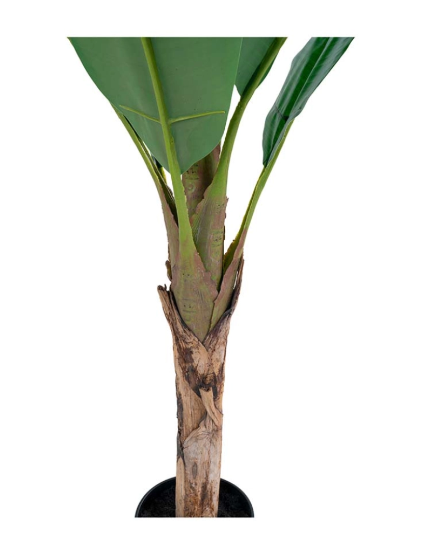 House Nordic - Planta Artificial Palmeira de Banana