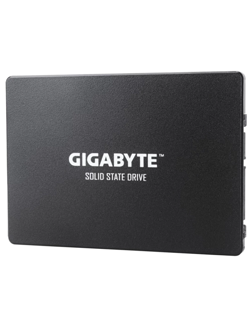 Gigabyte - Drive SSD Gigabyte > GP-GSTFS31480GNTD Disco 2.5 480 GB Serial ATA III - GP-GSTFS31480GNTD SSD 480 GB