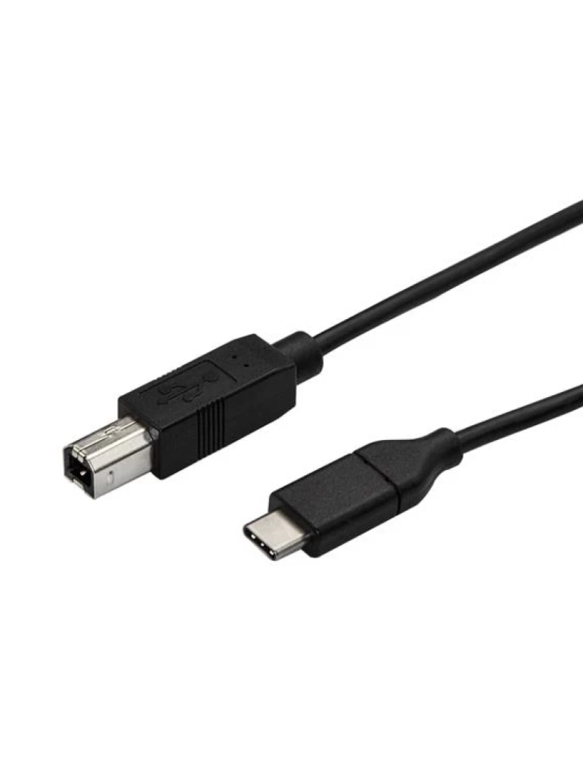 imagem de Cabo USB Startech > 0,5 M 2.0 C B Preto - USB2CB50CM1