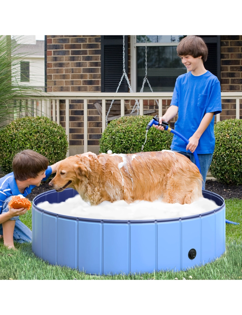 imagem de Piscina Dobrável para Cães 120x120x30cm cor azul D01-004BU2