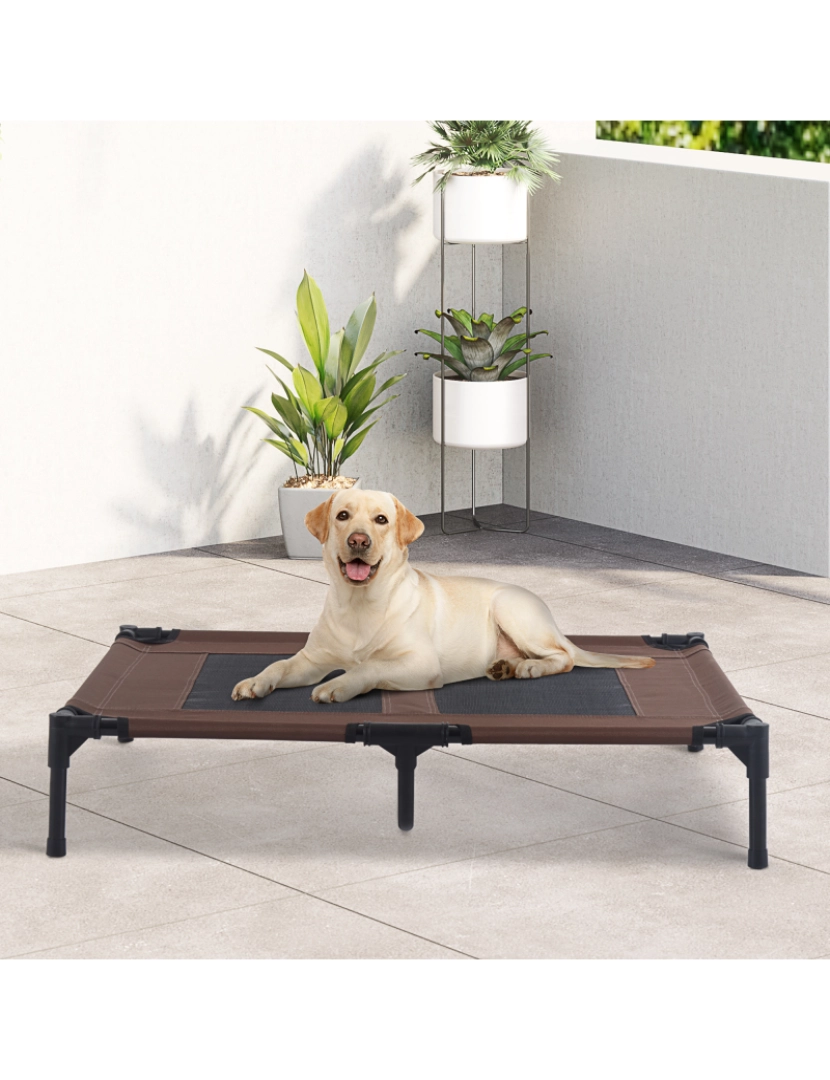 imagem de Cama Elevada para Cães 91.5x76.2x18cm cor marrom D04-0332