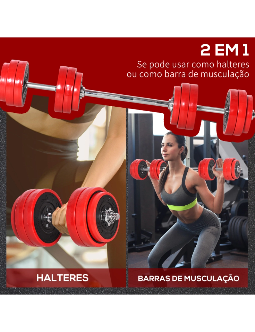 Barra, halter ou aparelho: prós e contras de treinar com cada equipamento -  26/11/2019 - UOL VivaBem