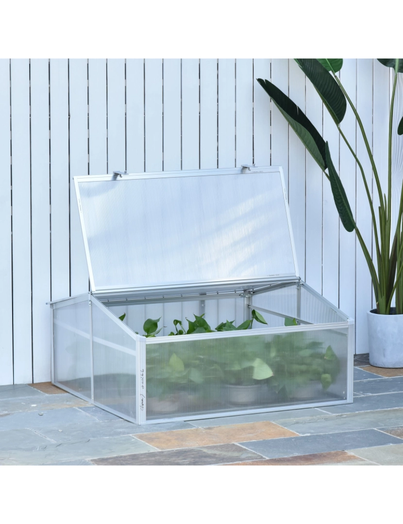 imagem de Outsunny Estufa de Jardim Alumínio Policarbonato Transparente Viveiro para Plantas Culturas 100x100x48 cm7