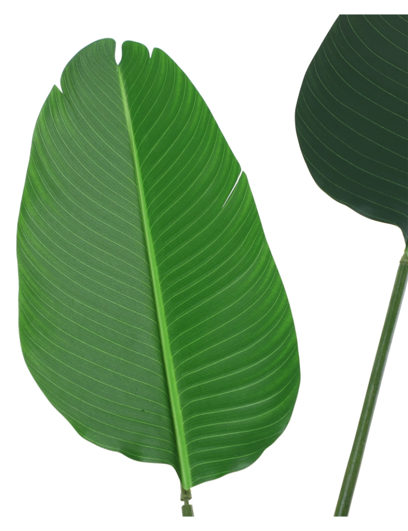 imagem grande de Planta Artificial Ø18x180cm cor verde 844-2638