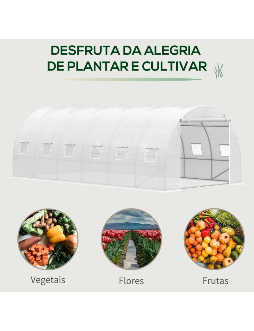 imagem de Outsunny Estufa de Túnel 600x300x200cm com Porta Enrolável 12 Janelas Cobertura de PE 140g/m² e Metal Galvanizado para Cultivos de Plantas Verduras Branco8