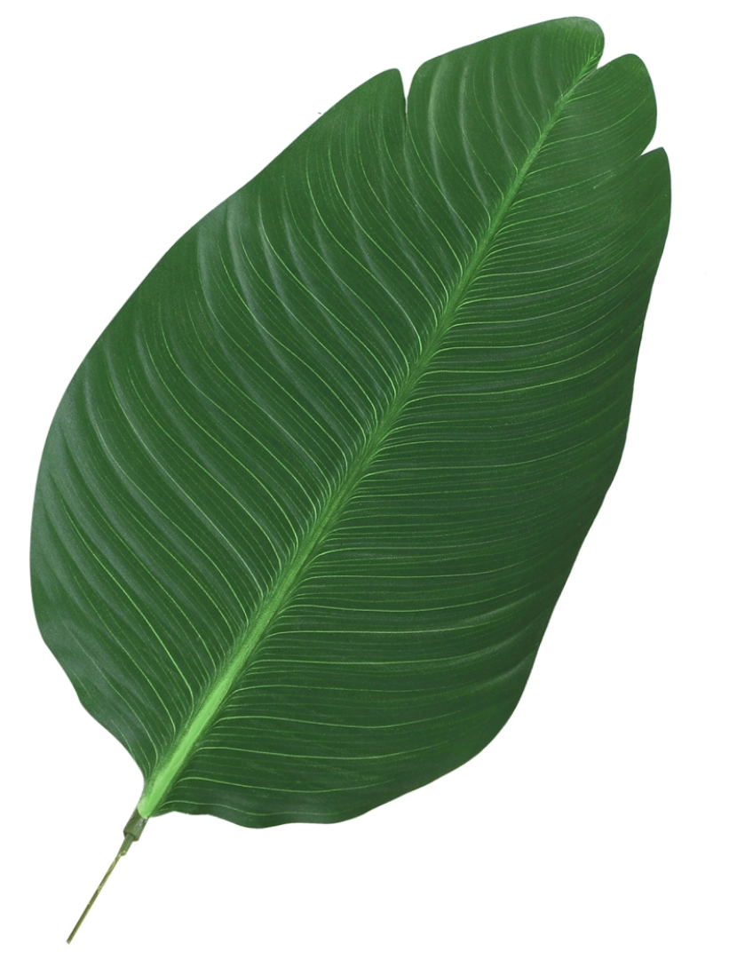 imagem grande de Planta Palmeira Artificial Ø15x120cm cor verde 844-2664