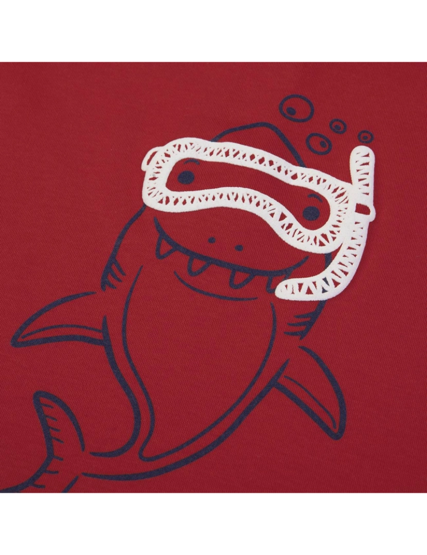 imagem de T-shirt + calças4