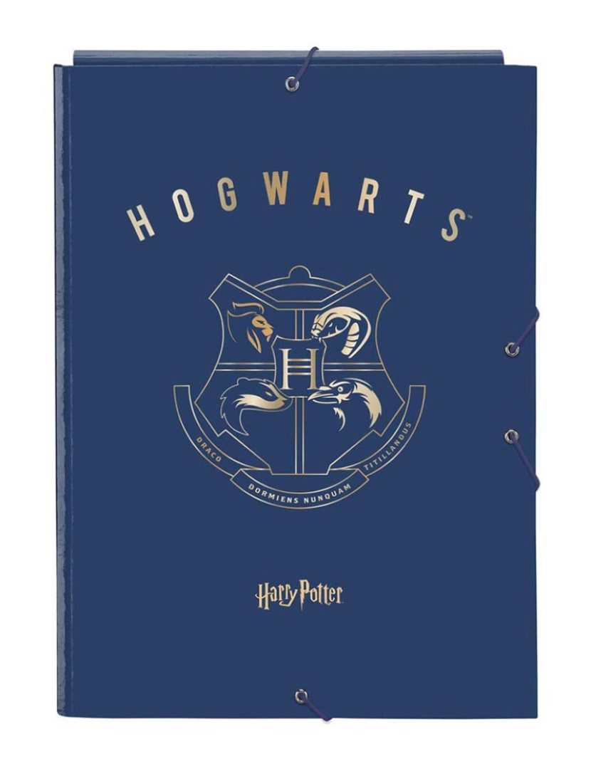 Harry Potter - Capa Harry Potter Magical Castanho Azul Marinho A4 