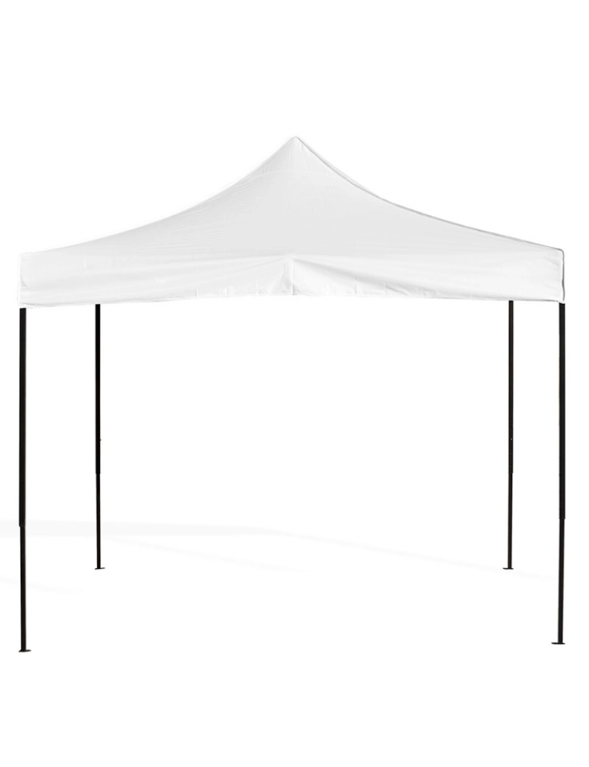 imagem de Tenda 2x2 Basic - Branco2