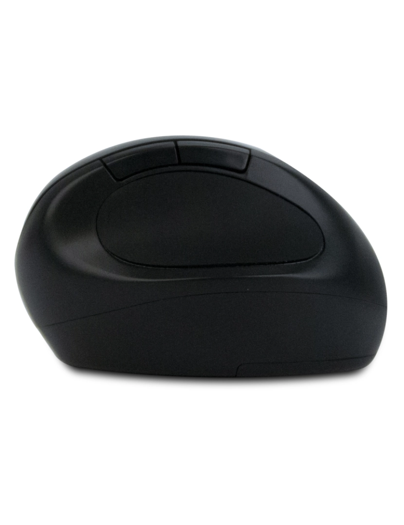 imagem de NGS ERGONOMIC WIRELESS MOUSE EVO ERGO EVO ERGO RATO ERGONOMICO SEM FIOS COR PRETO BRILHANTE4