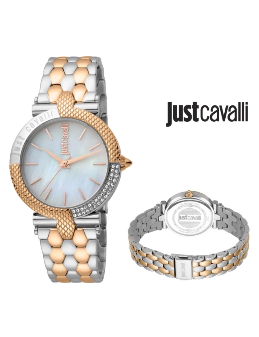 Just Cavalli  - Relógio Just Cavalli STF JC1L105M0115