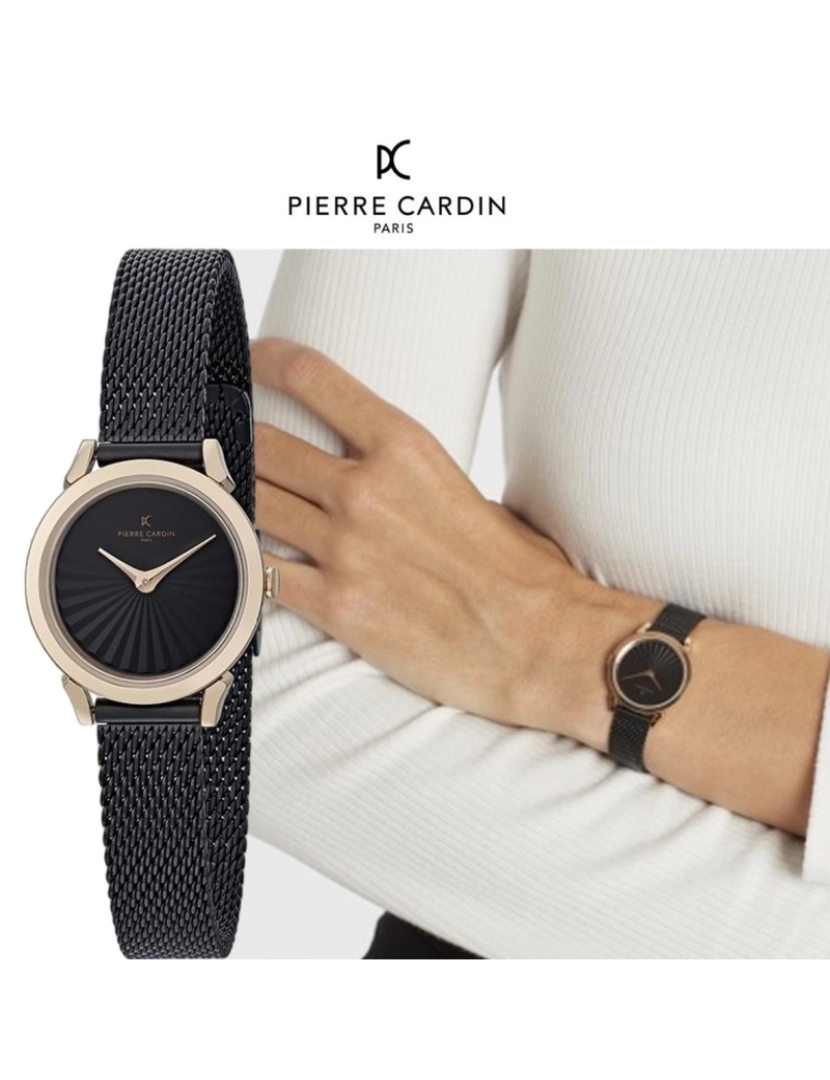 Pierre Cardin  - Relógio Pierre Cardin CPI.2516