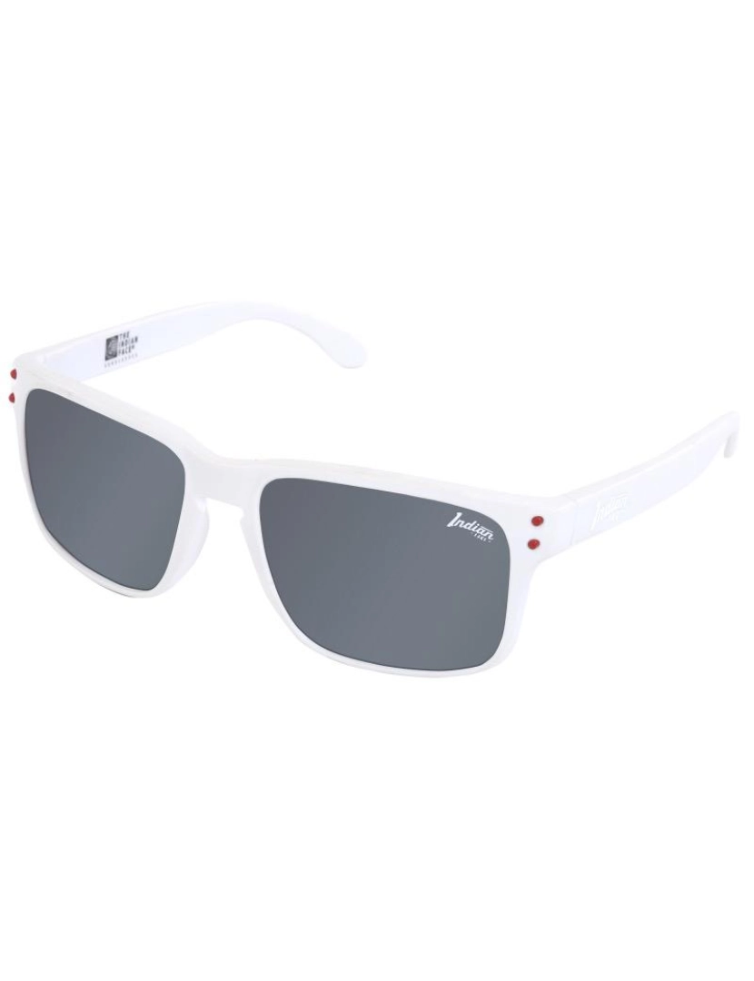 imagem de Óculos Freeride Spirit Style Lentes Cinza  1 Par de Hastes Extra3