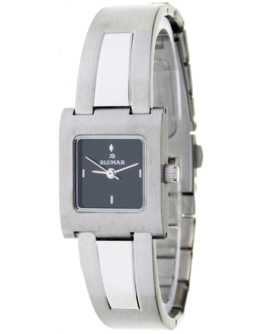 Blumar - Blumar Bl-09356 Mulheres Analog Assista Metal Caso Preto Cor