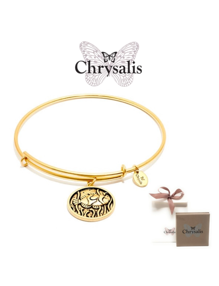 Chrysalis - Pulseira Chrysalis  Fish   Gold   Tamanho Adaptável   Com Caixa ou Saco Oferta