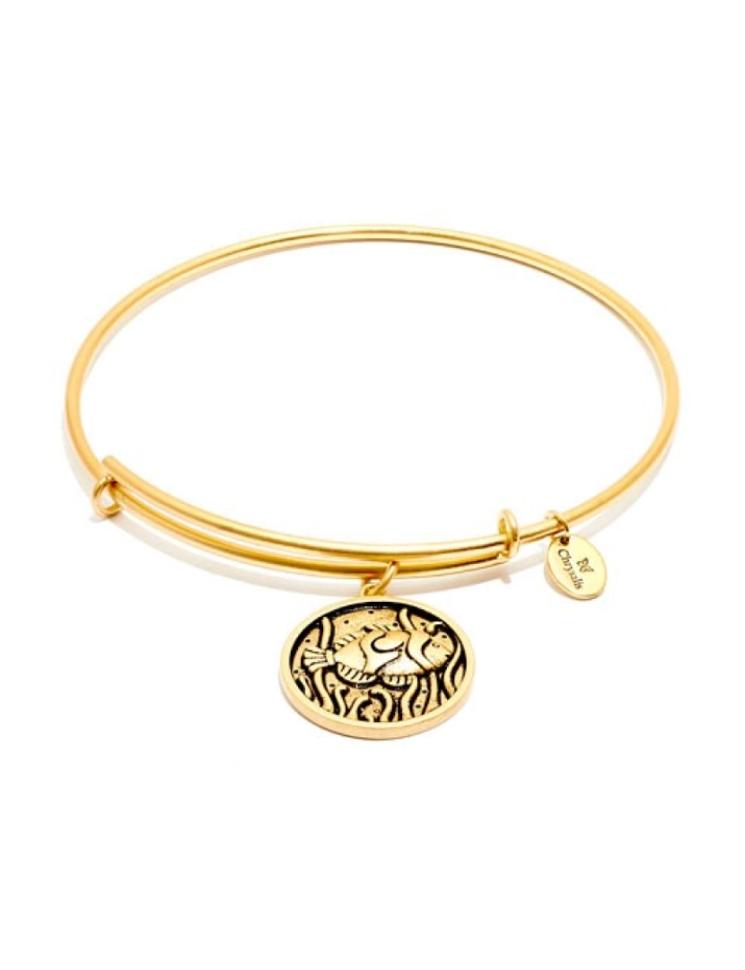 imagem de Pulseira Chrysalis  Fish   Gold   Tamanho Adaptável   Com Caixa ou Saco Oferta2