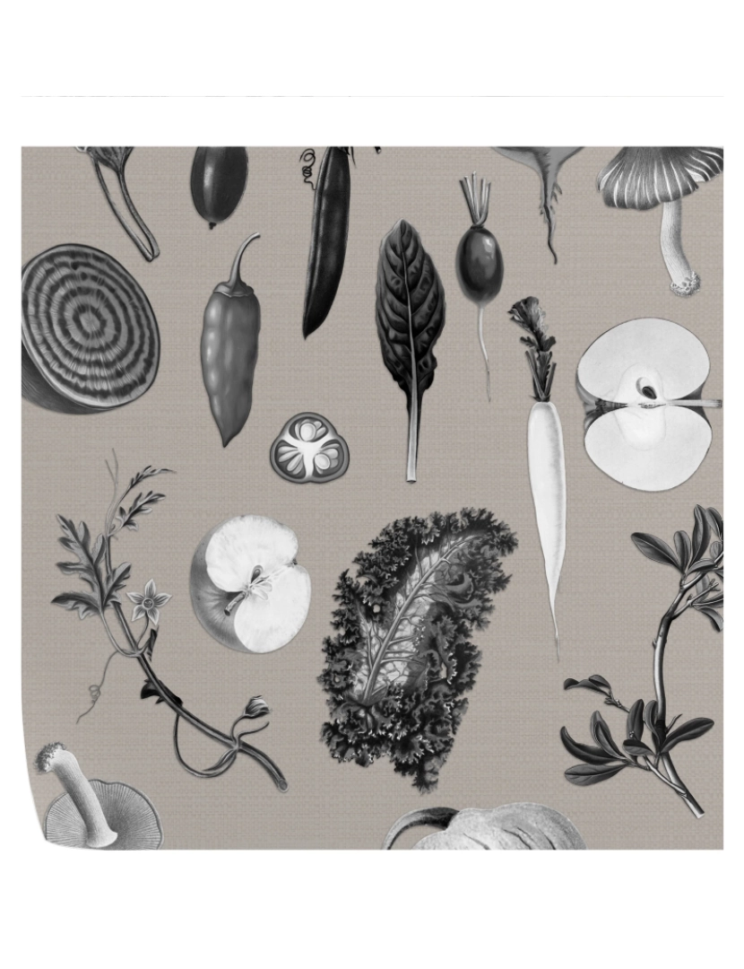 Wallpaper4Beginners - Papel de Parede Cozinha com Ilustrações Botânicas