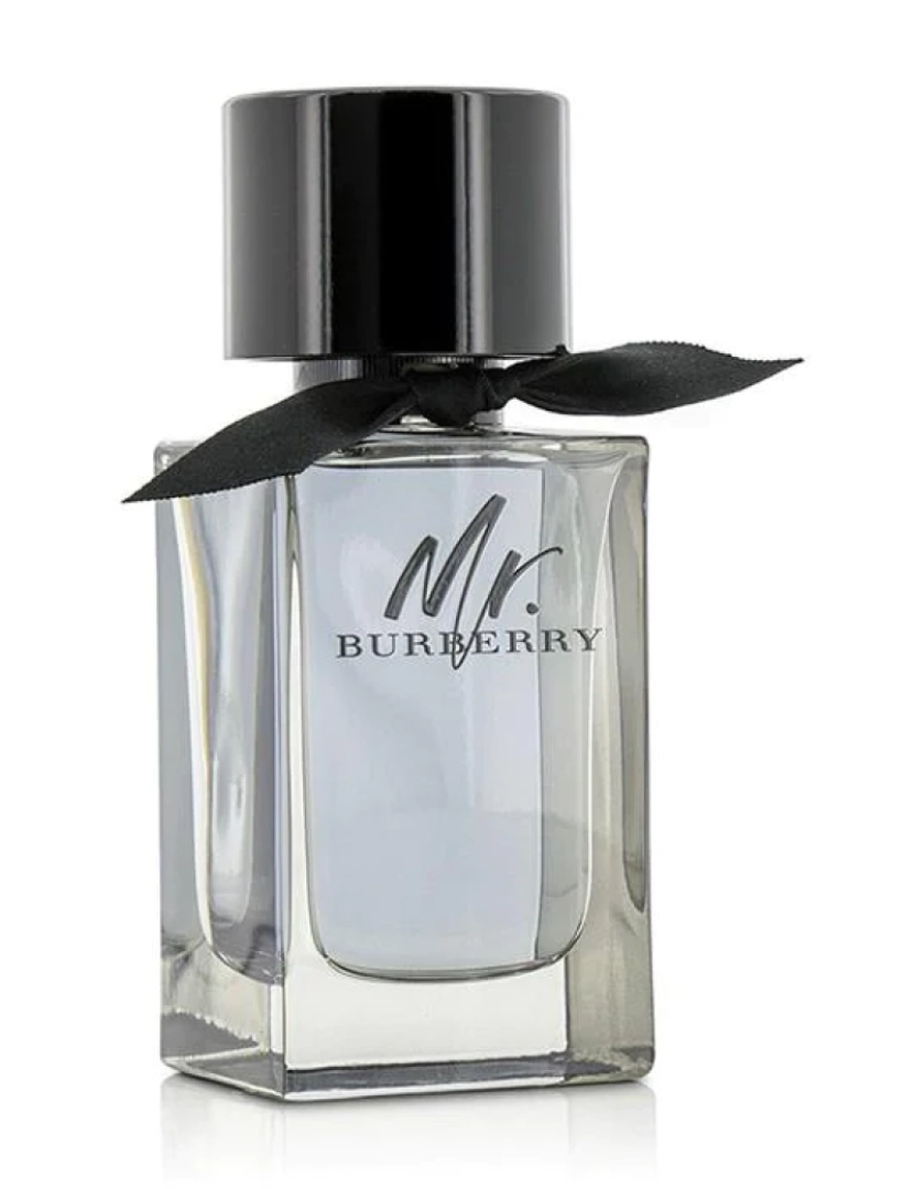 imagem de Sr. Burberry Eau De Toilette Spray3