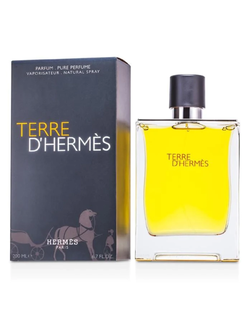 Hermès - Terre D'hermes Pure Parfum Spray