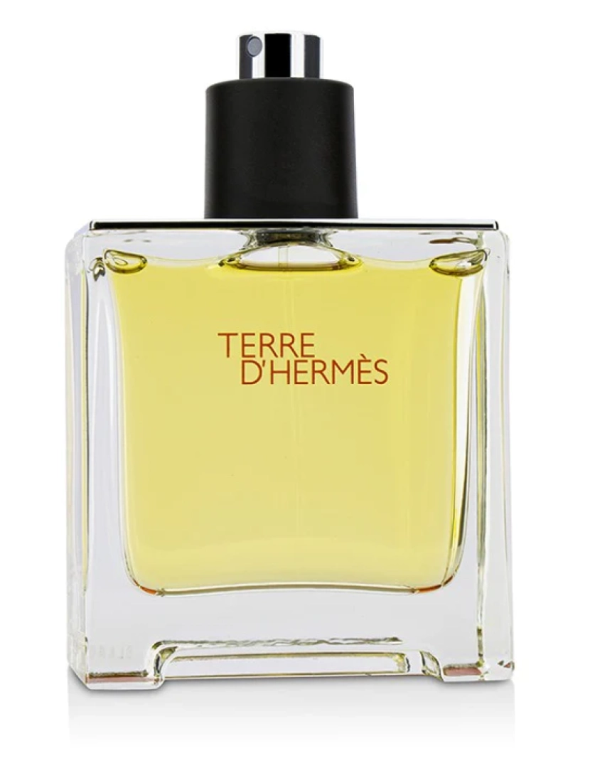 imagem de Terre D'hermes Pure Parfum Spray2