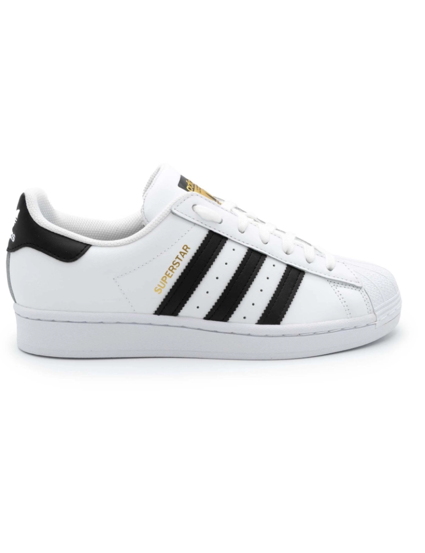 Adidas Original - Adidas - Superstar Branco-32