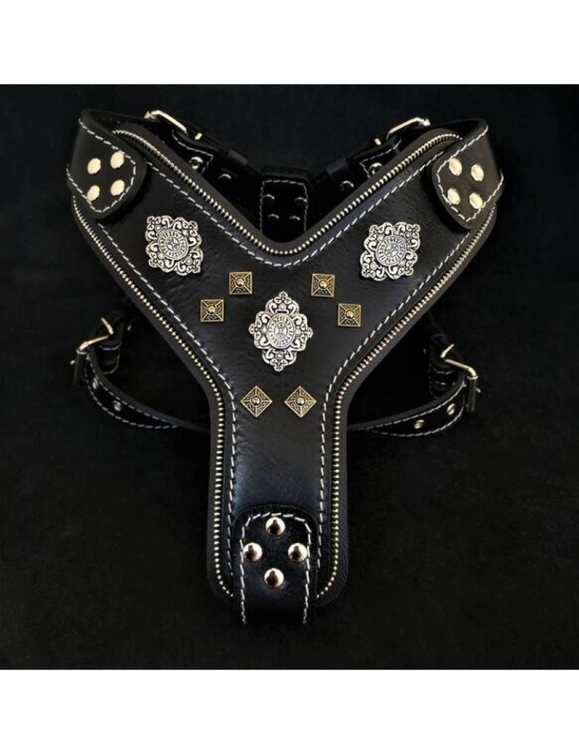 Bestia Custom Dog Gear - A Hareza Negra Asteca