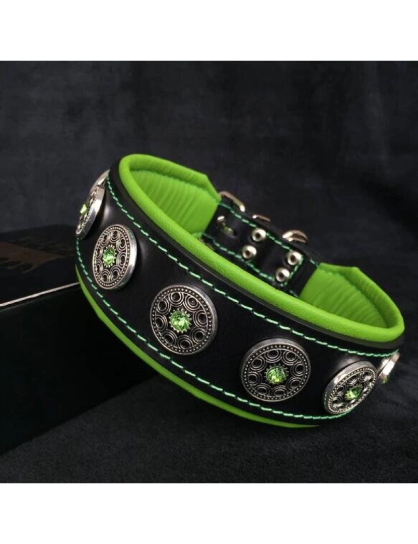 Bestia Custom Dog Gear - O Bijou Collar Preto & Verde