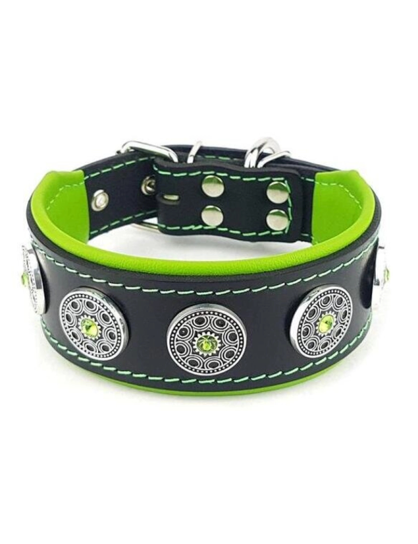 imagem de O Bijou Collar Preto & Verde2