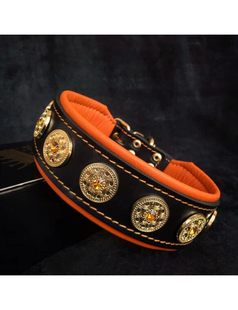 Bestia Custom Dog Gear - Bijou Collar Preto e Laranja