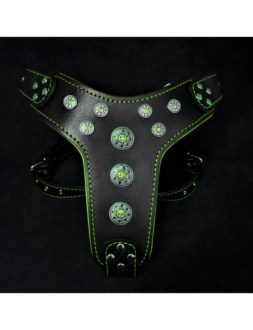 Bestia Custom Dog Gear - O Bijou Harness Preto & Verde