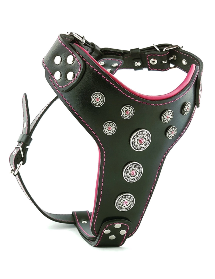 imagem de O Bijou Harness Black & Pink2