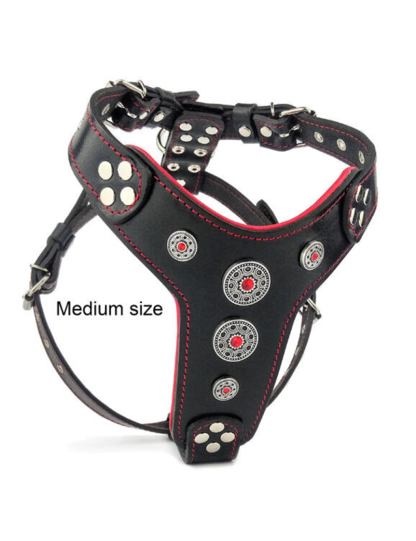 imagem de O Bijou Harness Preto & Vermelho3