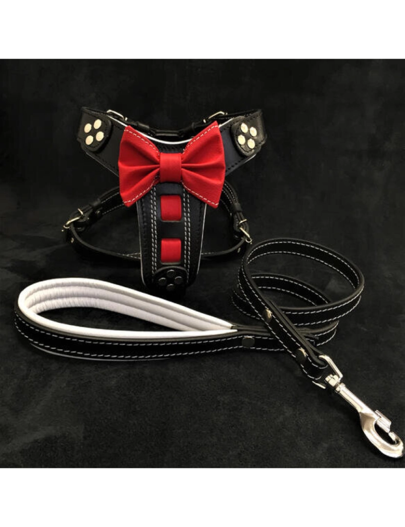 imagem de Leash de couro preto e marrom5