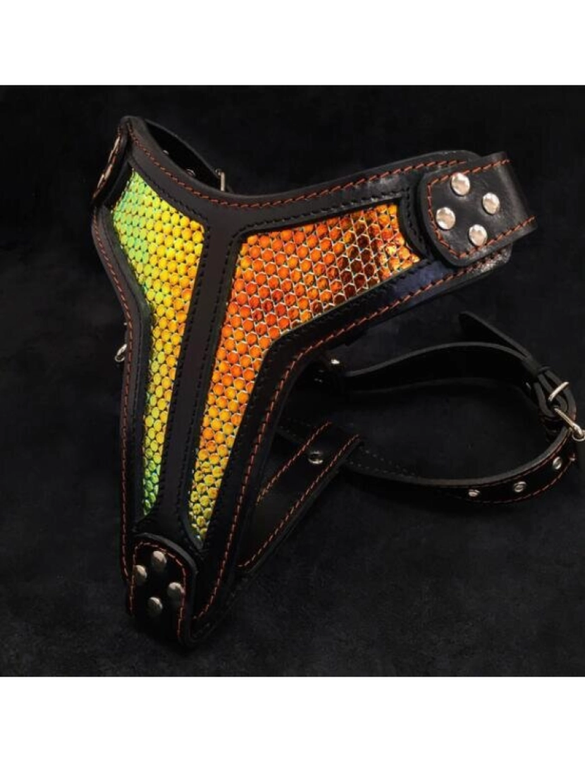 Bestia Custom Dog Gear - A D'albertis Harness Limited