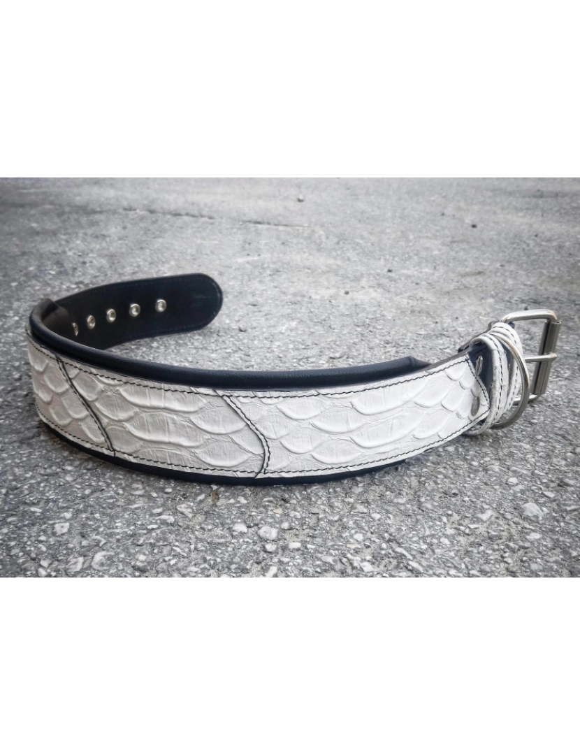 imagem de The Dragon Scale Limited Collar Design exclusivo3