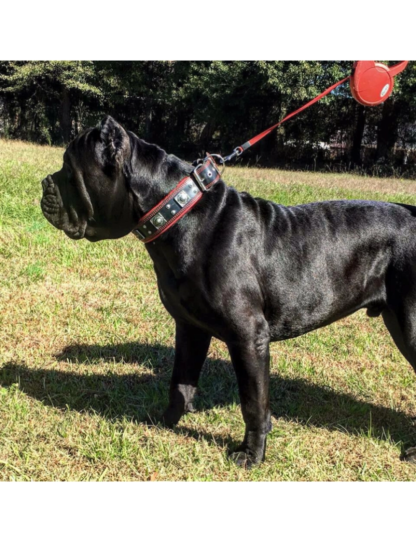 imagem de A Colar Eros Preto / Vermelho4