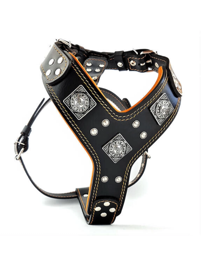 imagem de O Eros Harness Preto & Laranja3