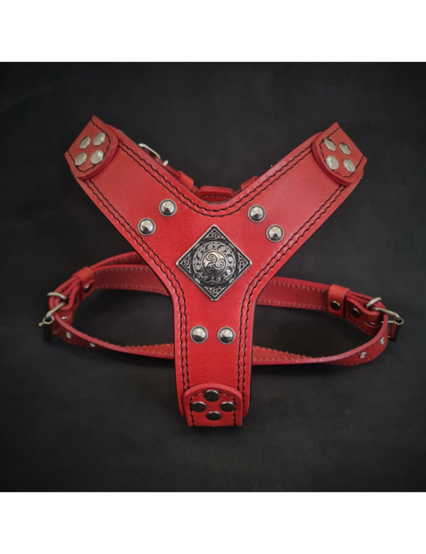 imagem de O Eros Harness Red2