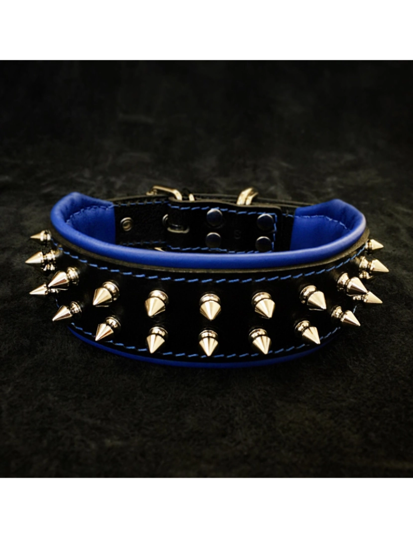 Bestia Custom Dog Gear - The Frenchie Collar Black & Black