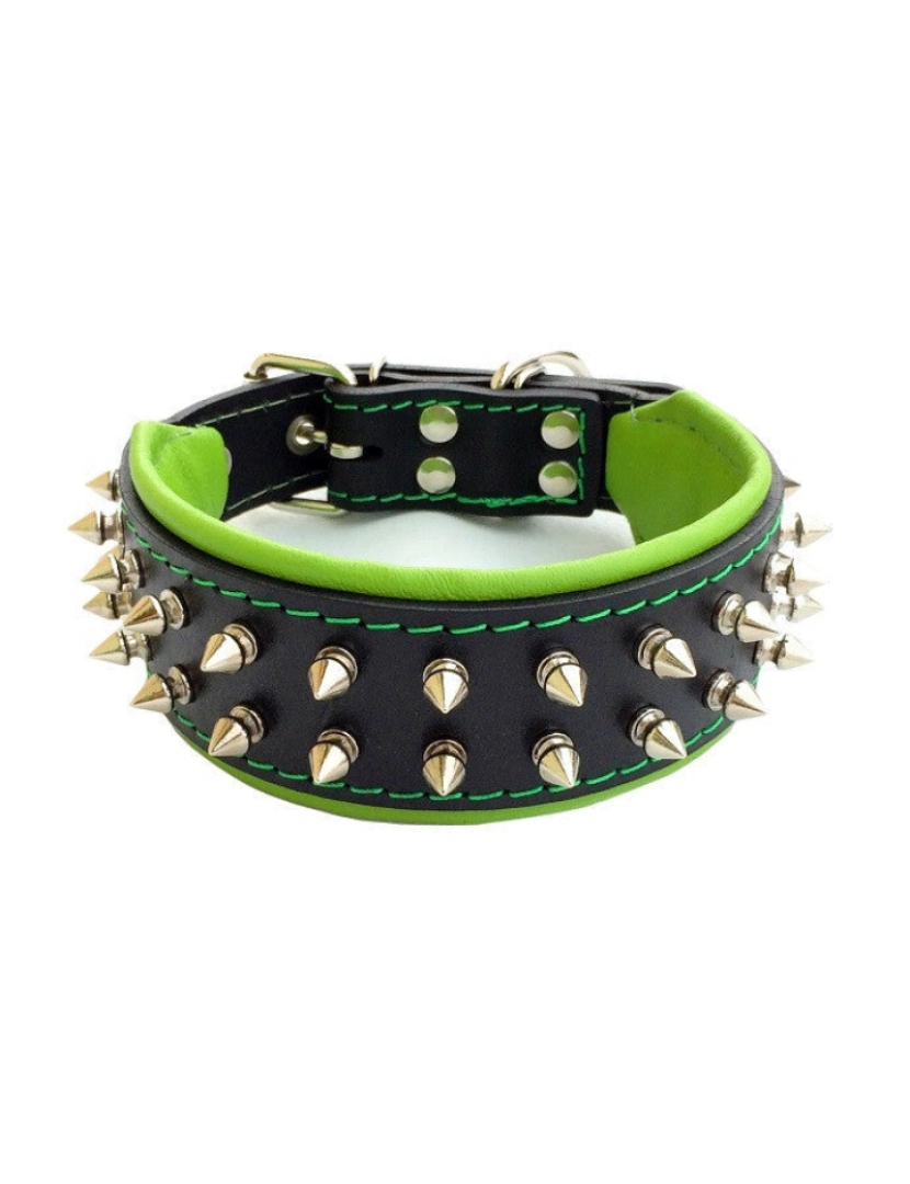 imagem de The Frenchie Collar Black & Black2